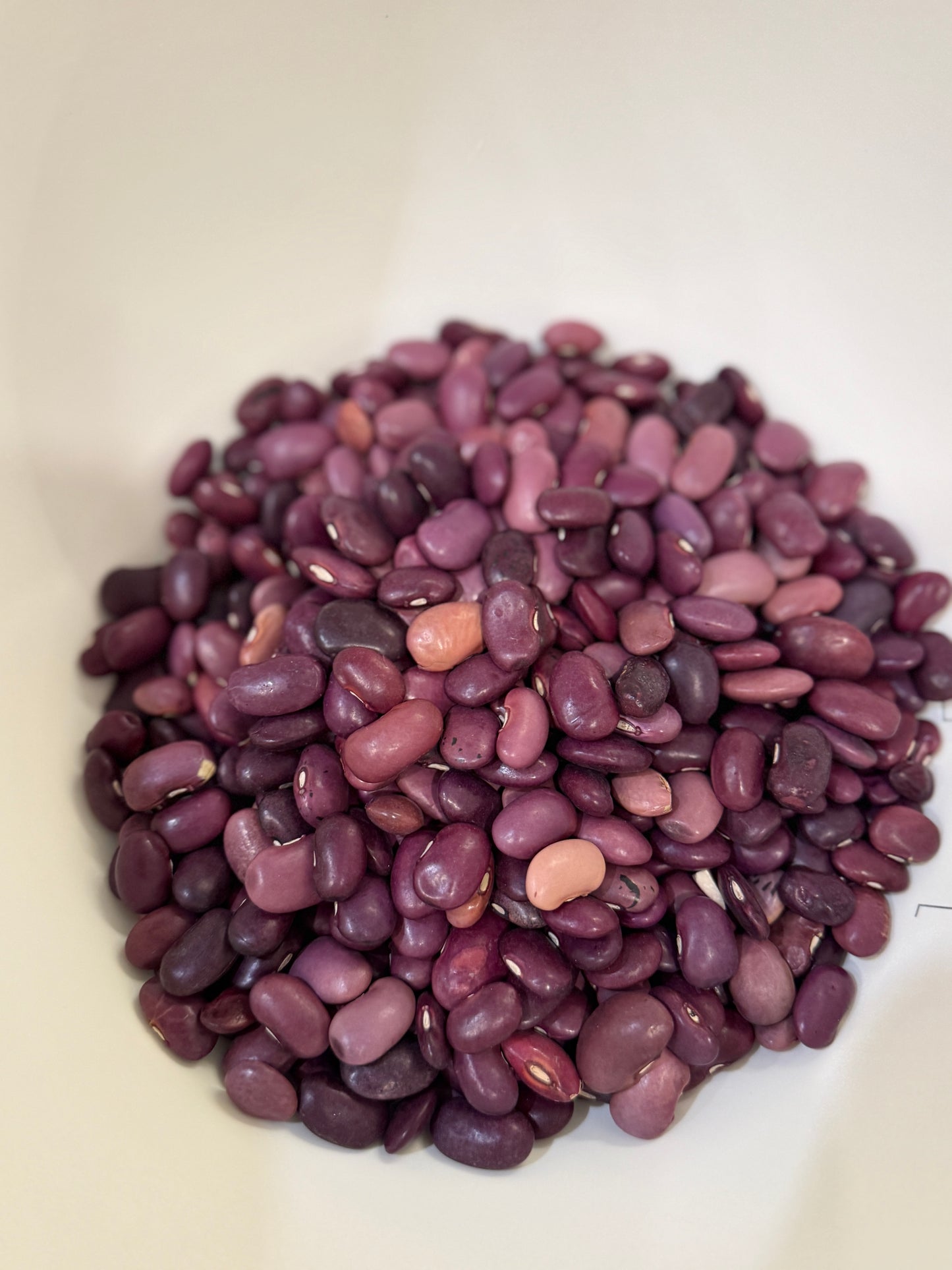 Rancho Gordo Ayocote Morado heirloom beans